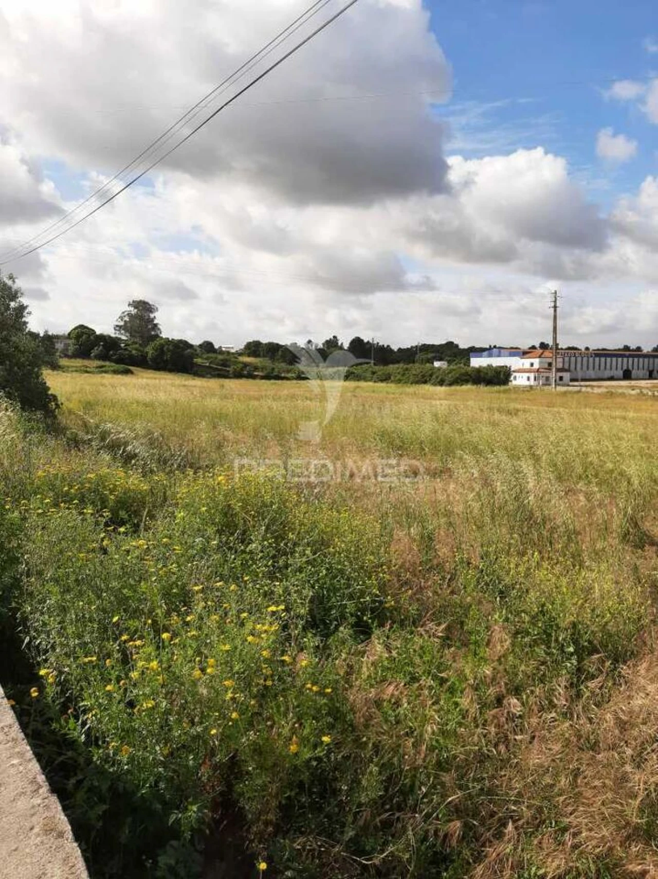 Terreno para Venda em Vila Chã de Ourique Foto 2