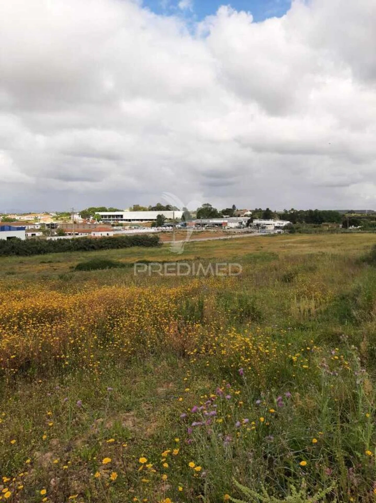 Terreno para Venda em Vila Chã de Ourique Foto 21