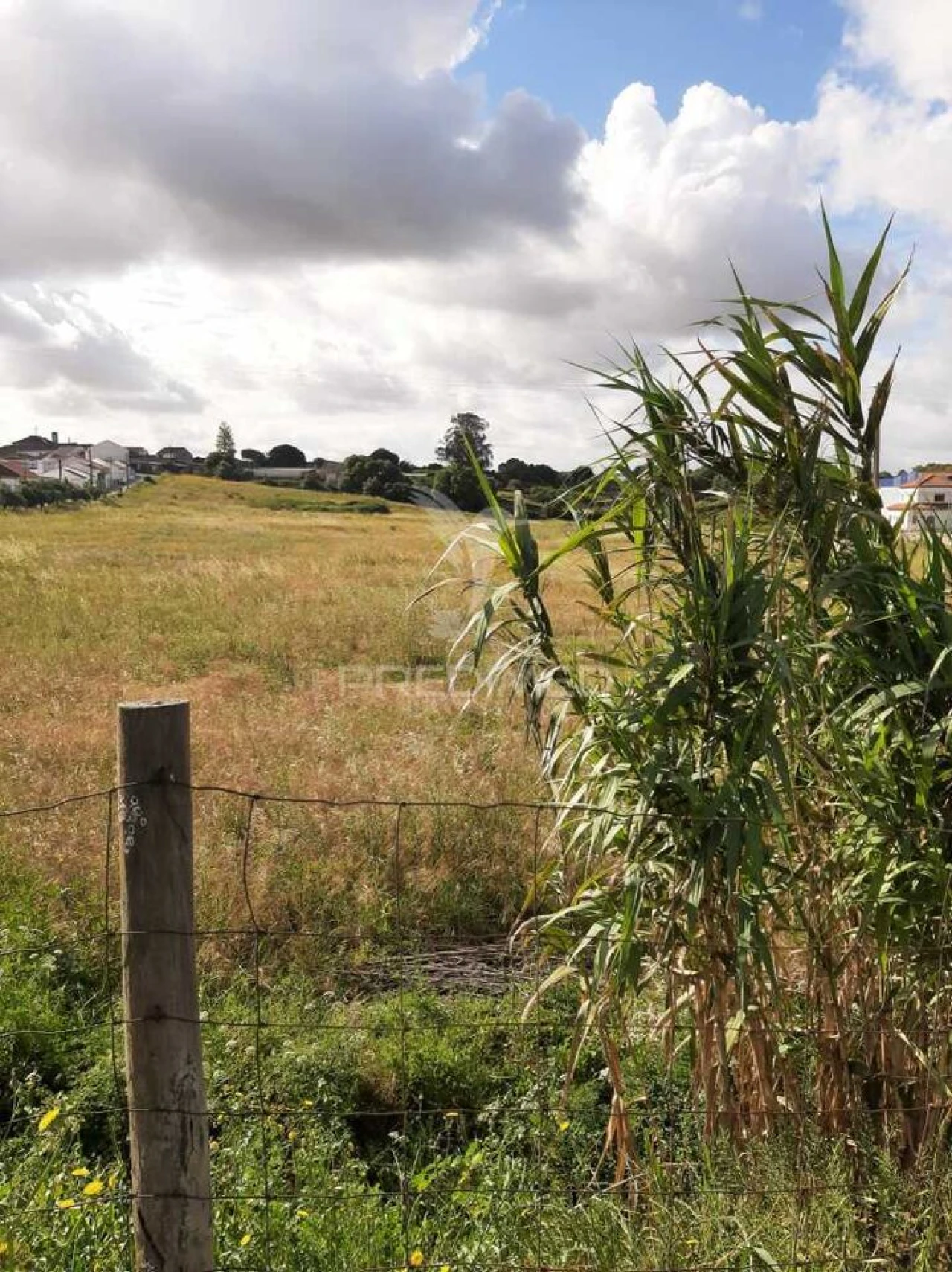 Terreno para Venda em Vila Chã de Ourique Foto 8