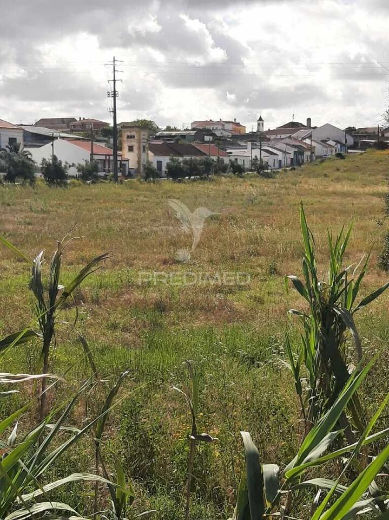 Terreno para Venda em Vila Chã de Ourique Foto 9