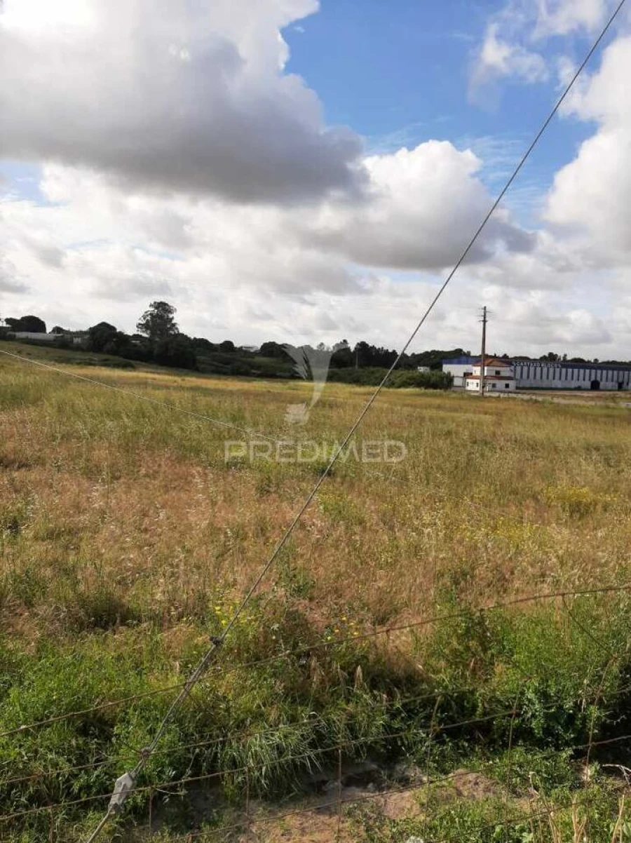 Terreno para Venda em Vila Chã de Ourique Foto 6