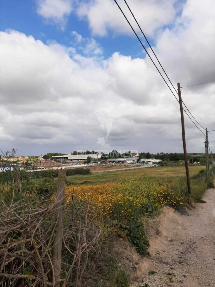 Terreno para Venda em Vila Chã de Ourique Foto 14
