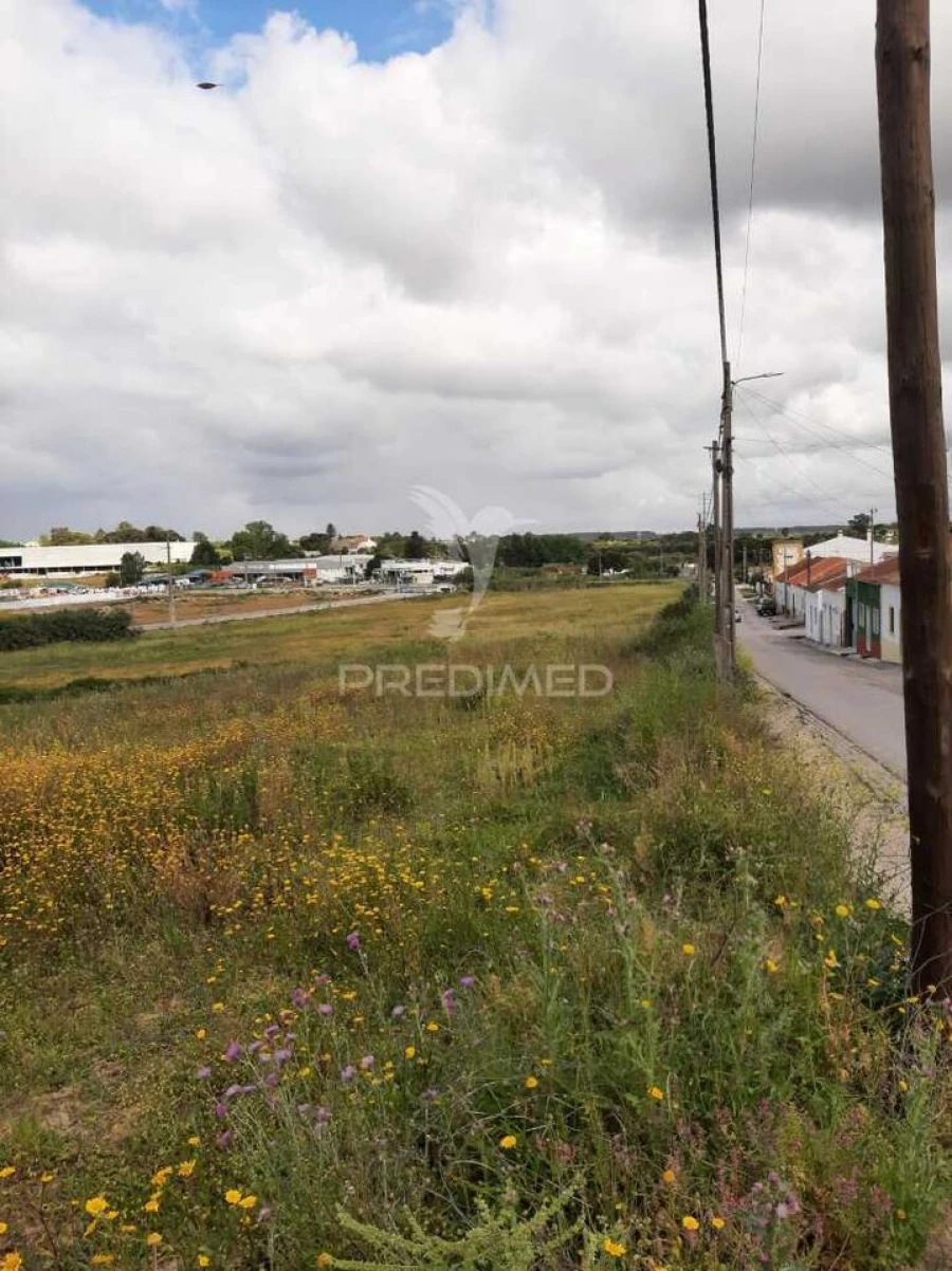 Terreno para Venda em Vila Chã de Ourique Foto 15