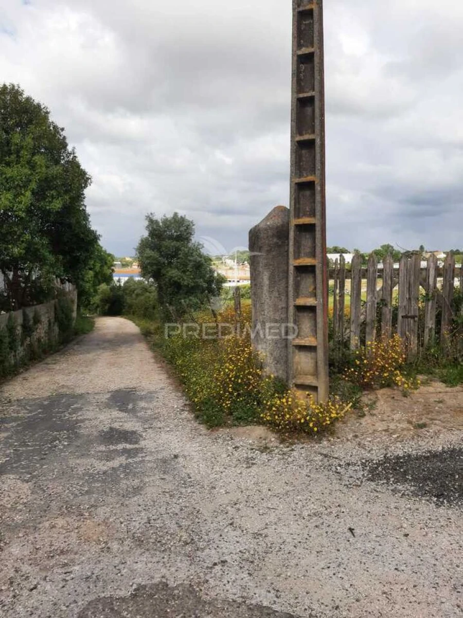 Terreno para Venda em Vila Chã de Ourique Foto 16