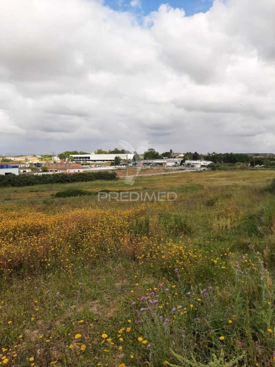 Terreno para Venda em Vila Chã de Ourique Foto 21