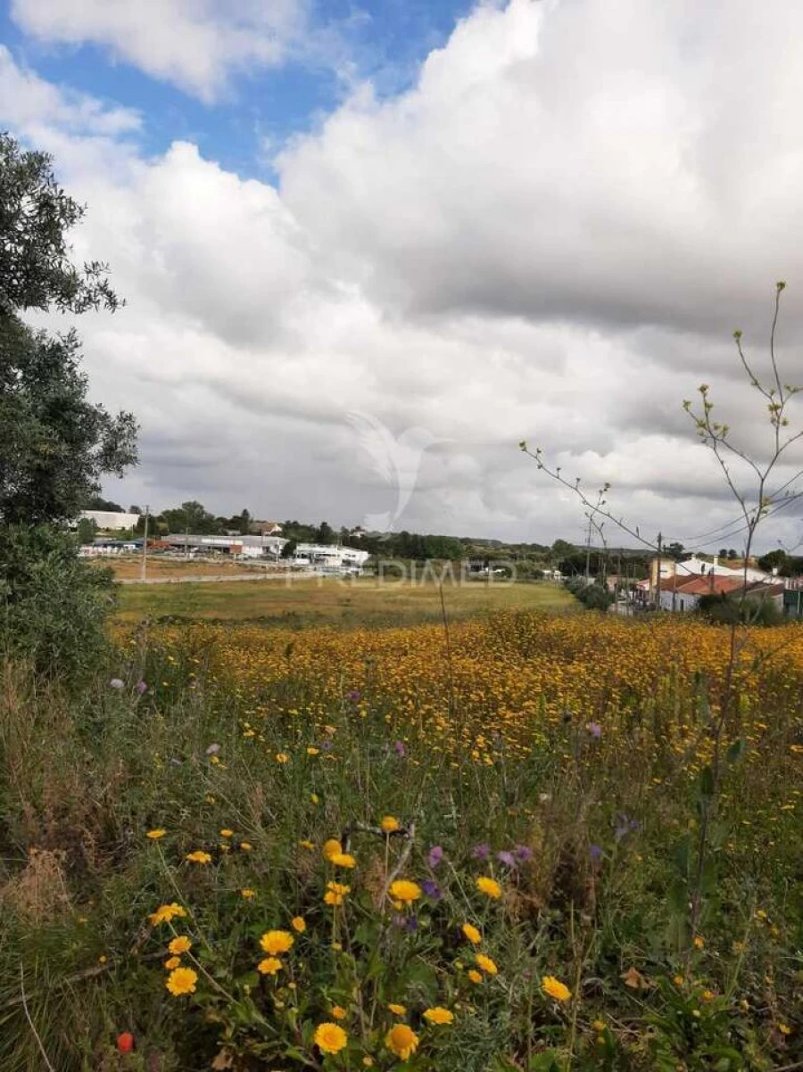 Terreno para Venda em Vila Chã de Ourique Foto 13