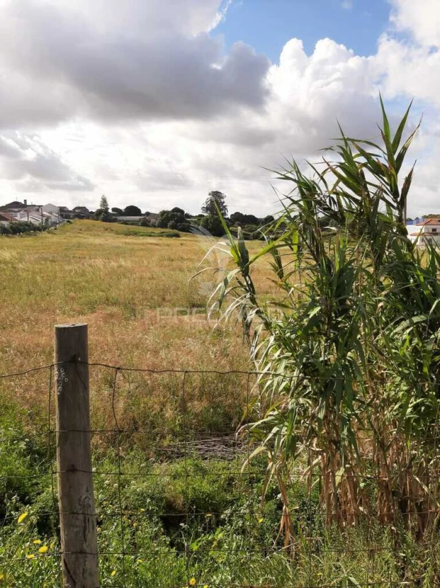 Terreno para Venda em Vila Chã de Ourique Foto 8