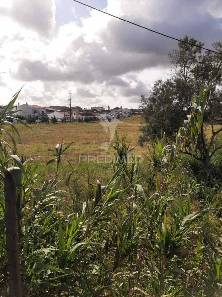Terreno para Venda em Vila Chã de Ourique Foto 7