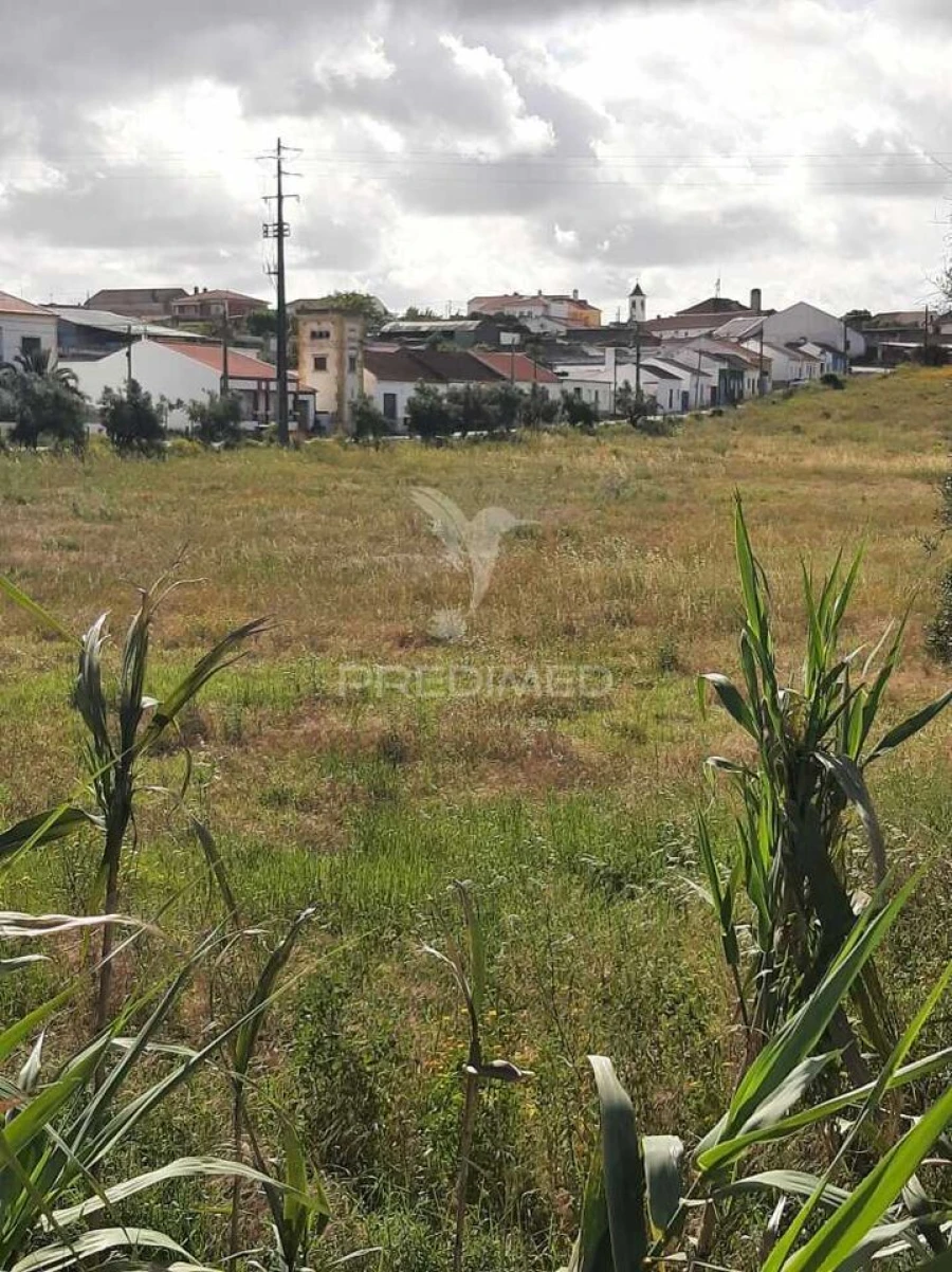 Terreno para Venda em Vila Chã de Ourique Foto 9