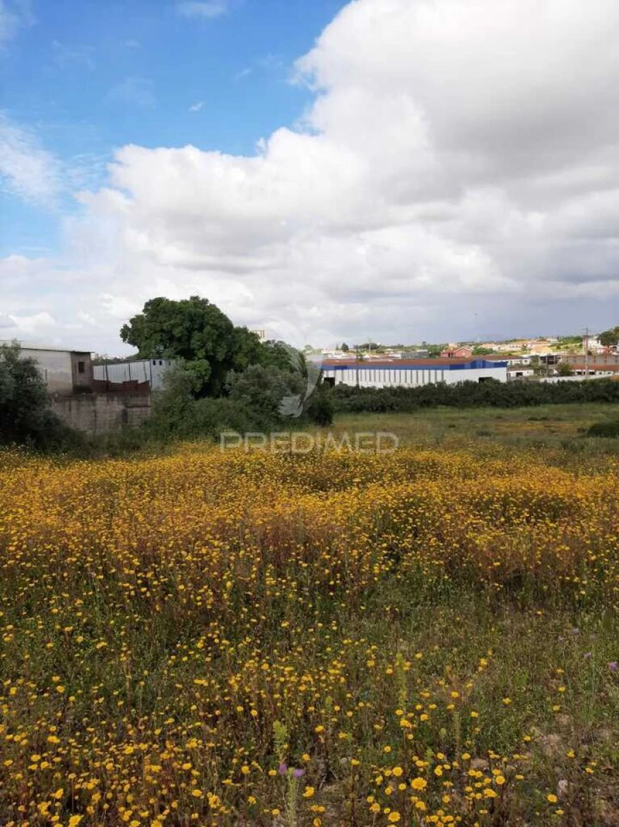 Terreno para Venda em Vila Chã de Ourique Foto 19