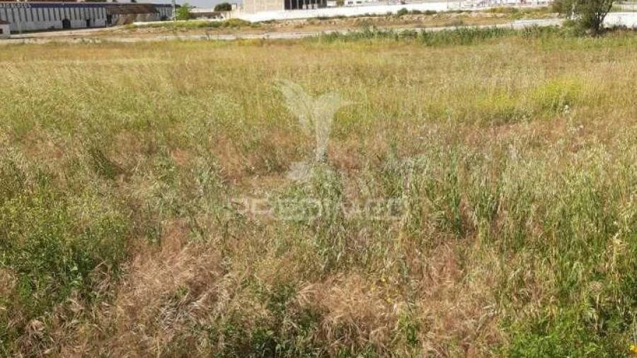 Terreno para Venda em Vila Chã de Ourique