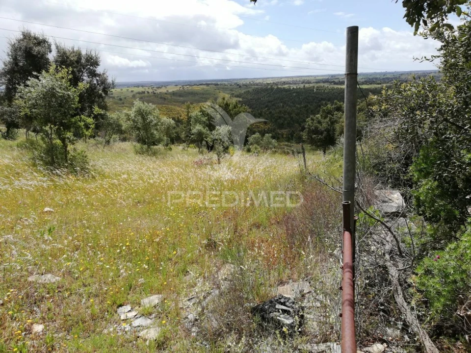 Terreno para Venda em Montalvão Foto 2