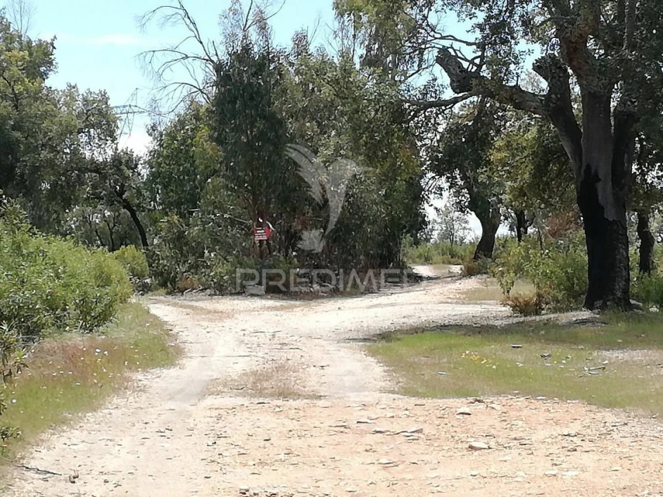 Terreno para Venda em Montalvão Foto 5