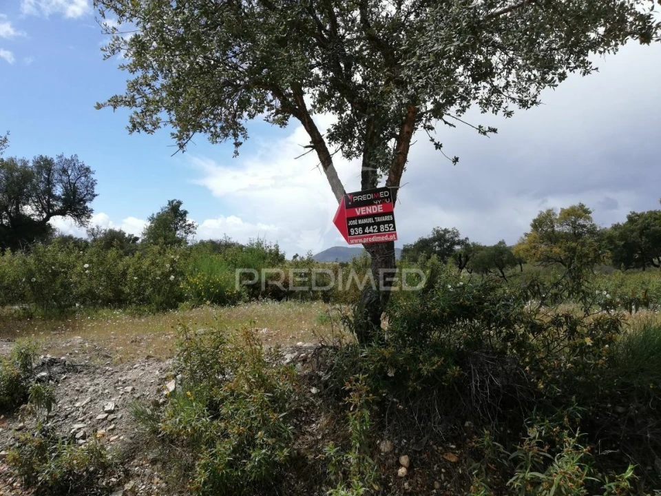 Terreno para Venda em Montalvão Foto 4