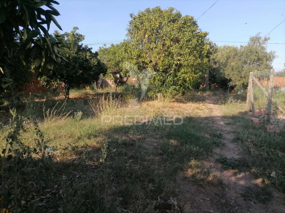 Moradia T4 para Venda em Alagoa Foto 22