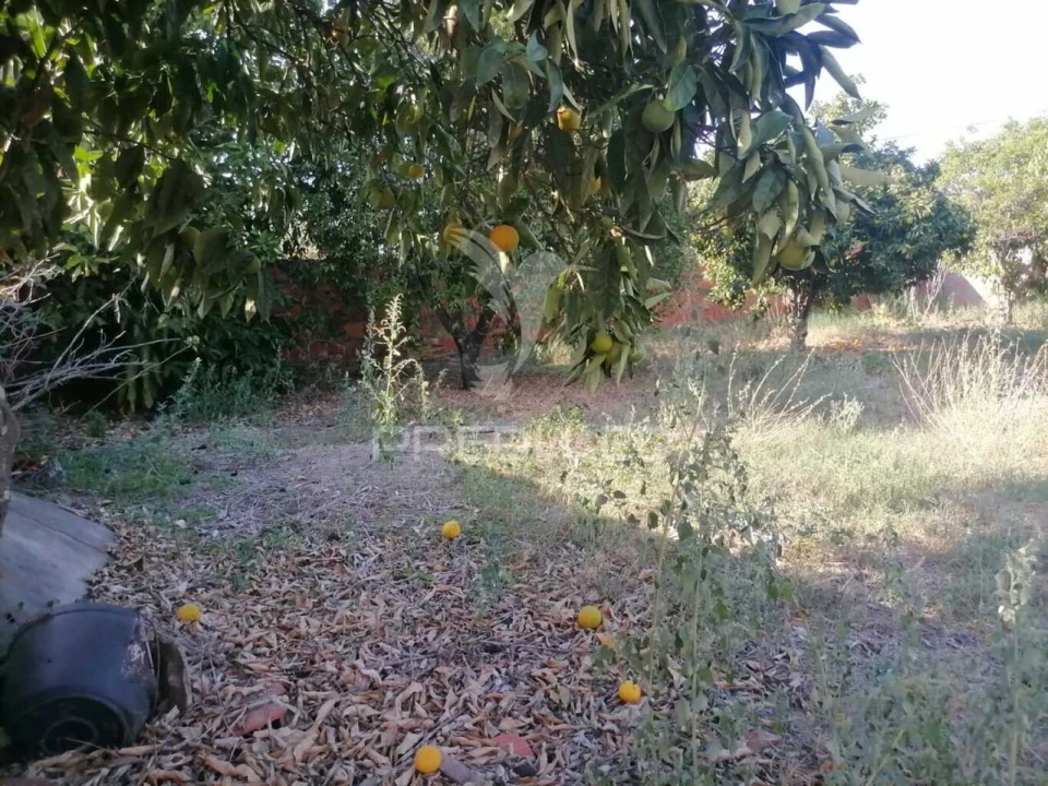 Moradia T4 para Venda em Alagoa Foto 20