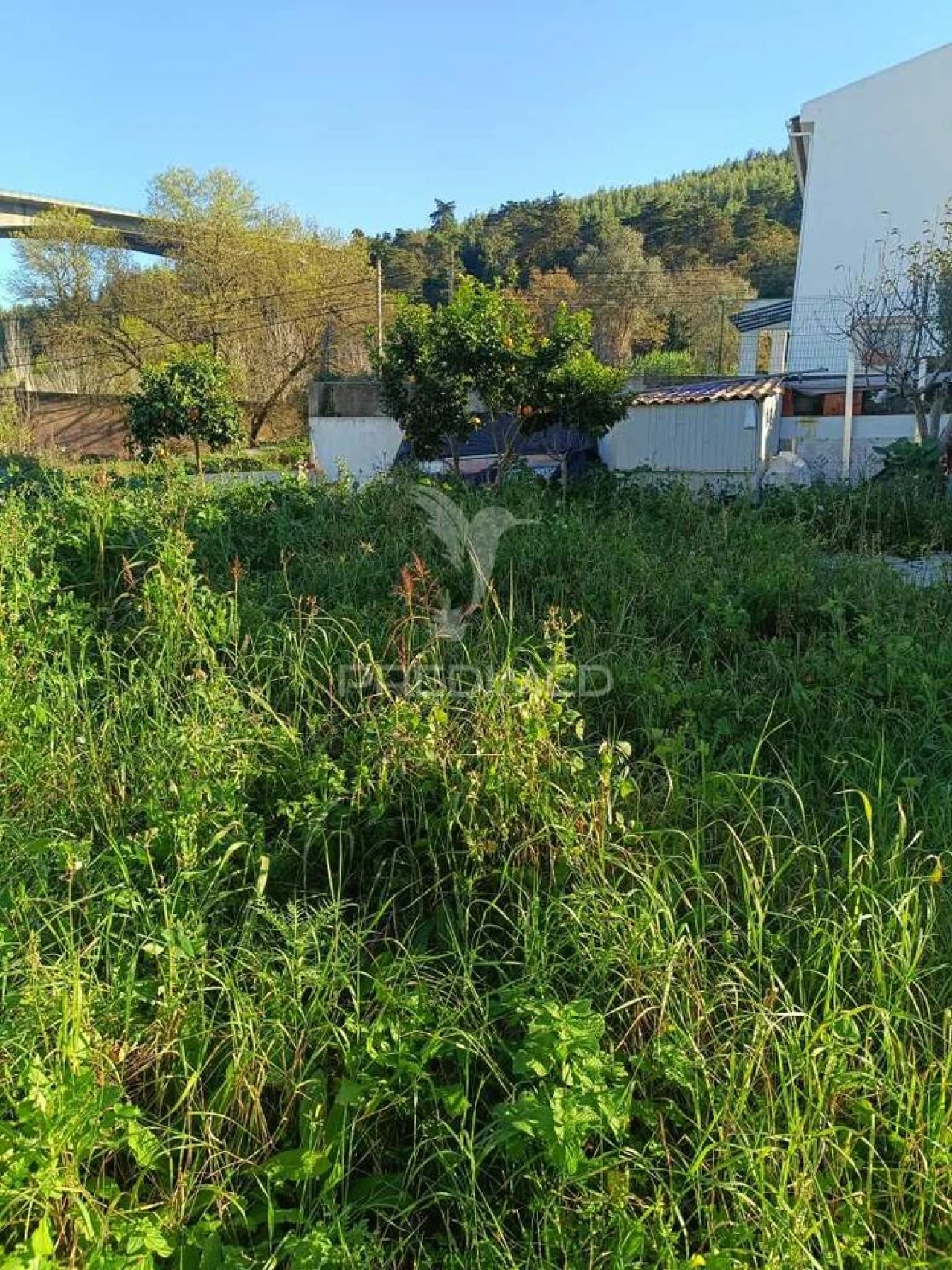 Terreno para Venda em Loures Foto 9