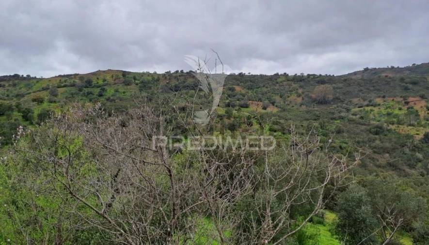 Terreno para Venda em Santa Catarina da Fonte do Bispo Foto 1