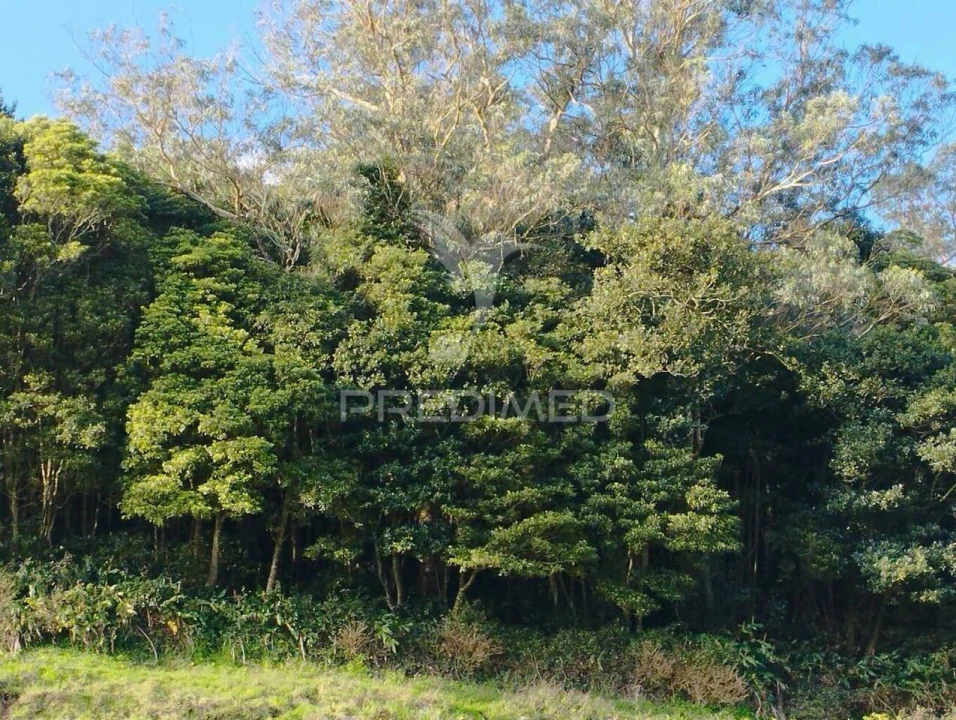 Terreno para Venda em Fontinhas Foto 2