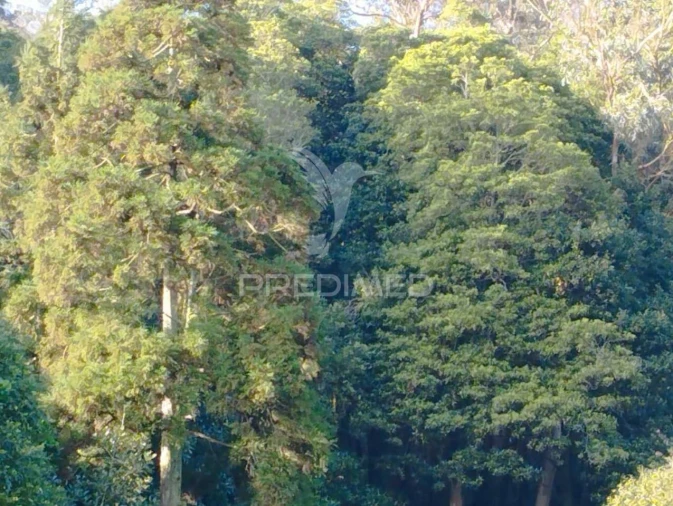 Terreno para Venda em Fontinhas Foto 3