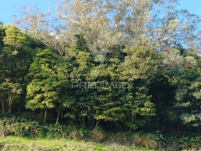 Terreno para Venda em Fontinhas Foto 2