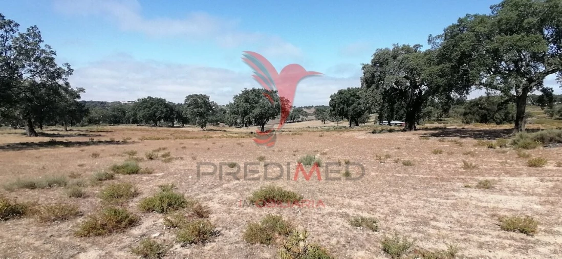 Quinta T2 para Venda em Urra Foto 33