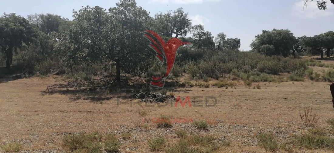 Quinta T2 para Venda em Urra Foto 32