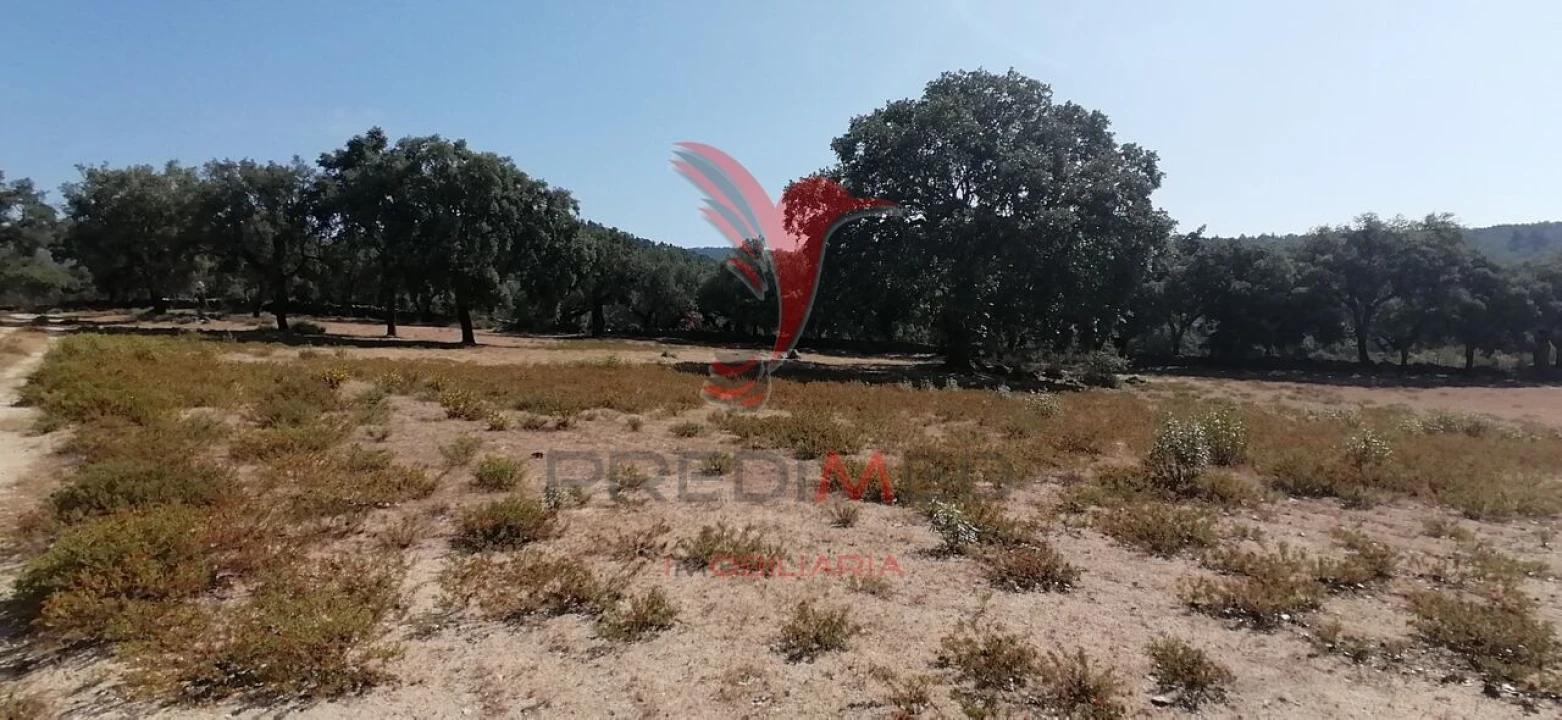 Quinta T2 para Venda em Urra Foto 35