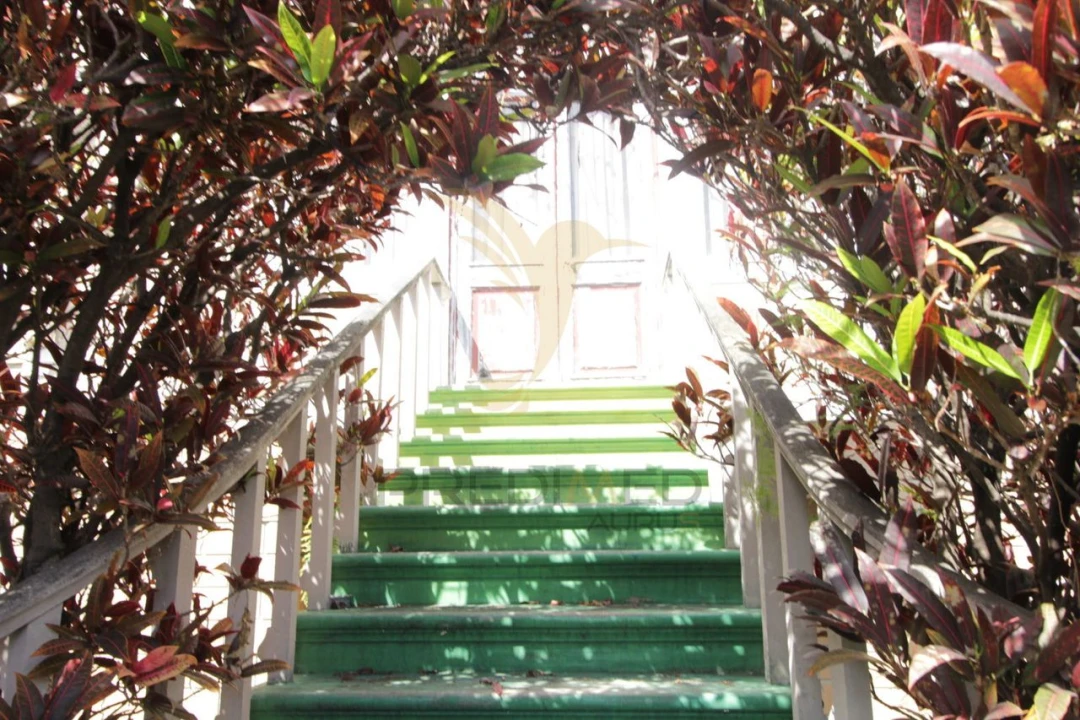 Moradia T4 para Venda em Funchal (Santa Maria Maior) Foto 9