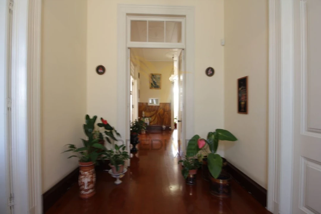 Moradia T4 para Venda em Funchal (Santa Maria Maior) Foto 11