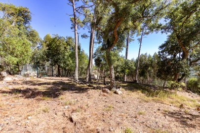 Moradia T5 para Venda em Mafra