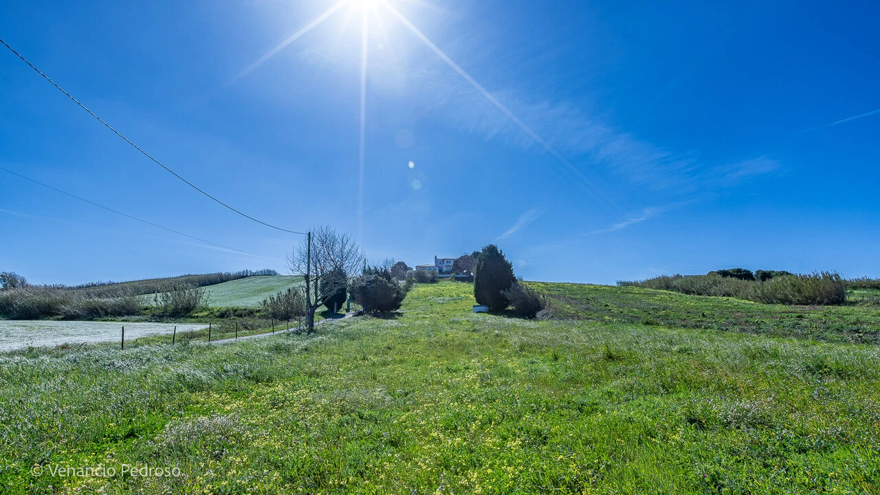 Moradia T5 para Venda em Encarnação Foto 39