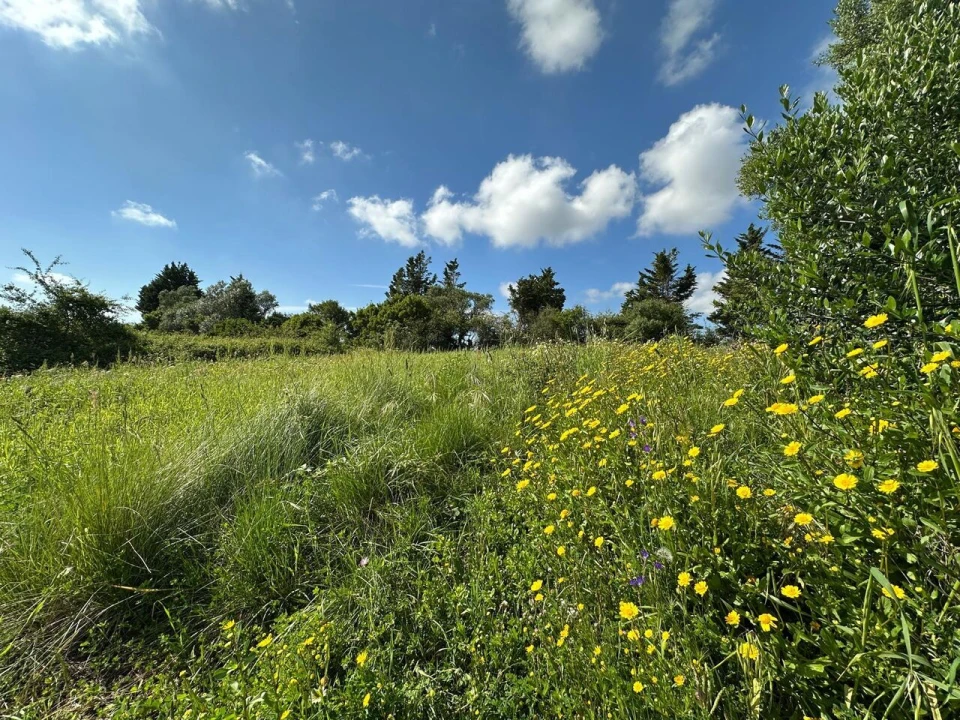 Terreno para Venda em Mafra Foto 8