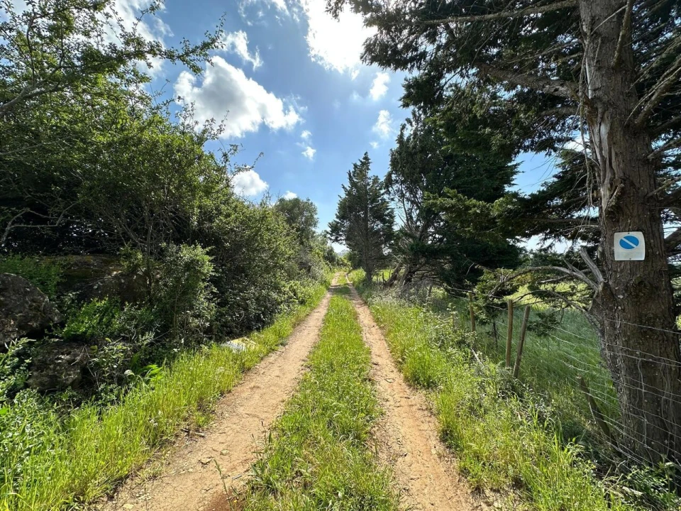 Terreno para Venda em Mafra Foto 13