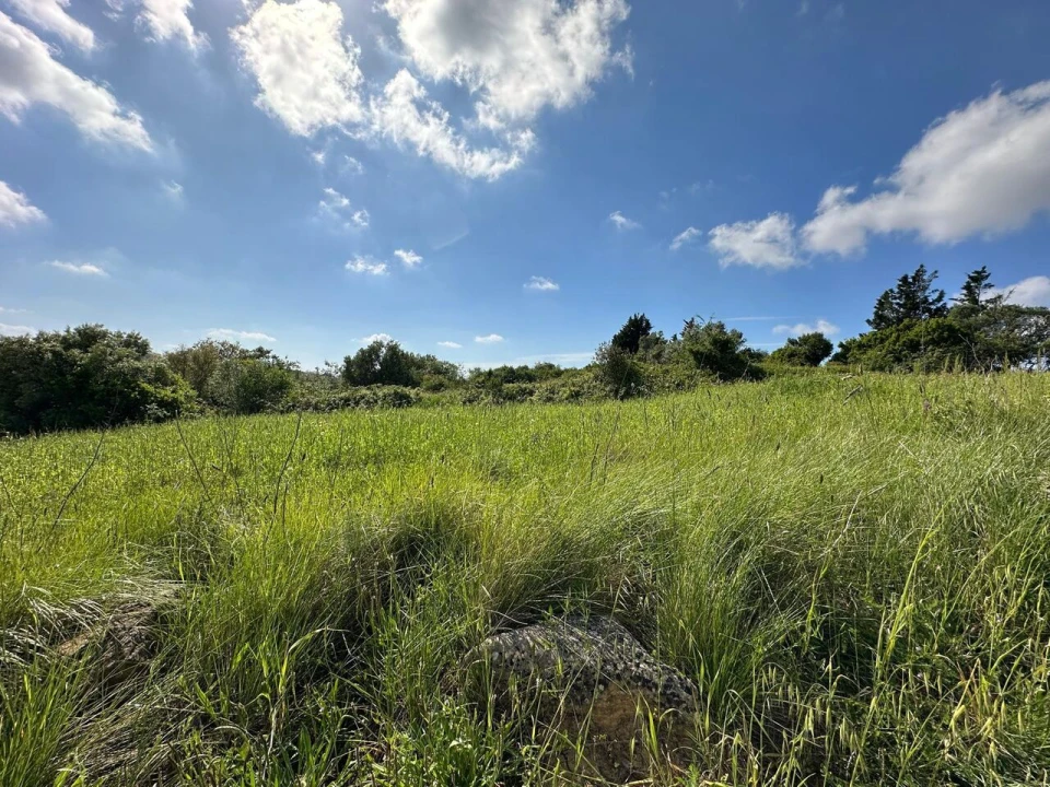 Terreno para Venda em Mafra Foto 11