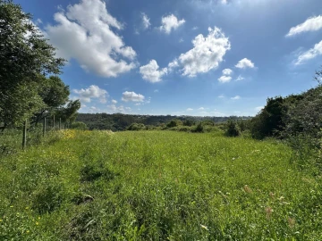Terreno para Venda em Mafra