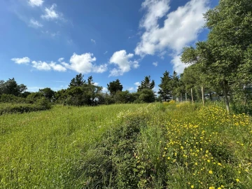 Terreno para Venda em Mafra