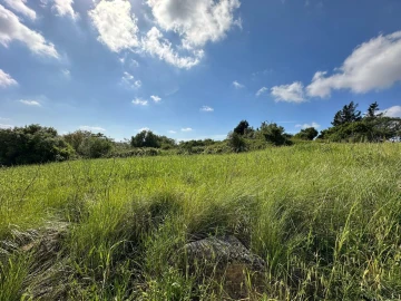 Terreno para Venda em Mafra