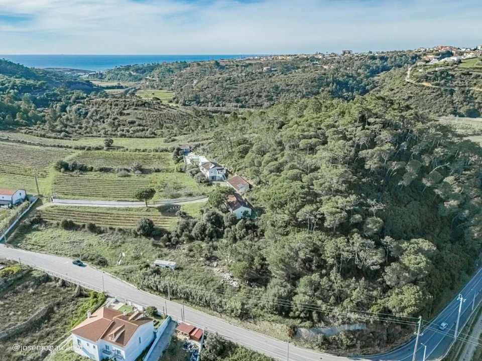Terreno para Venda em Carvoeira Foto 4