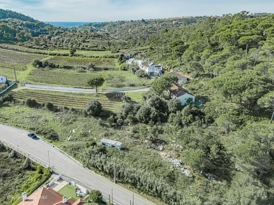 Terreno para Venda em Carvoeira Foto 14