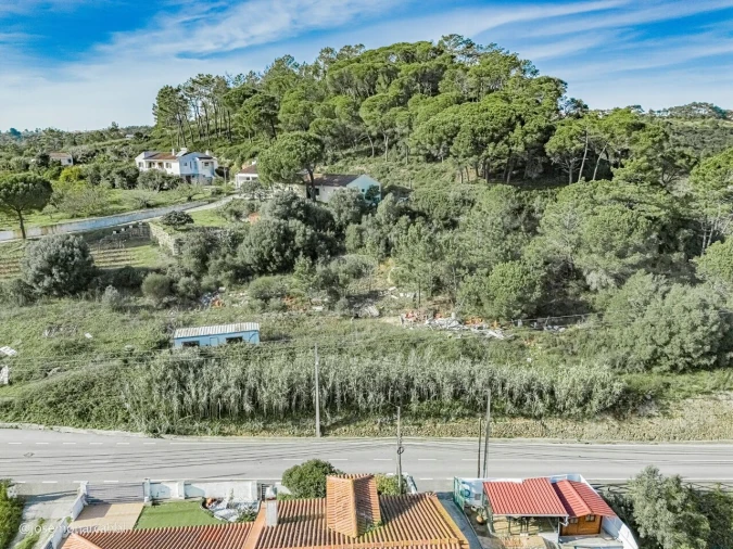 Terreno para Venda em Carvoeira Foto 12