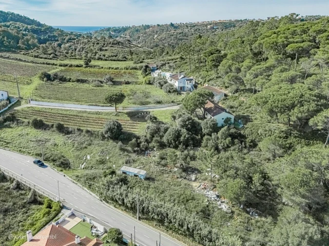 Terreno para Venda em Carvoeira Foto 14