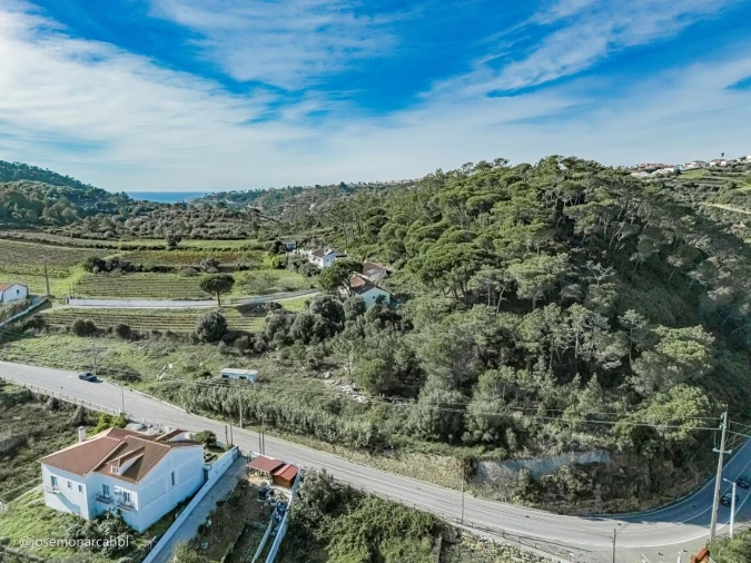 Terreno para Venda em Carvoeira Foto 16
