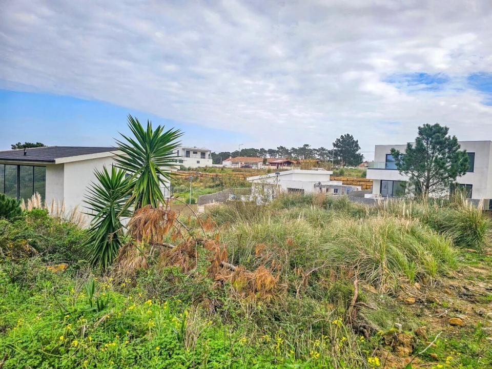 Terreno para Venda em Santo Isidoro Foto 2