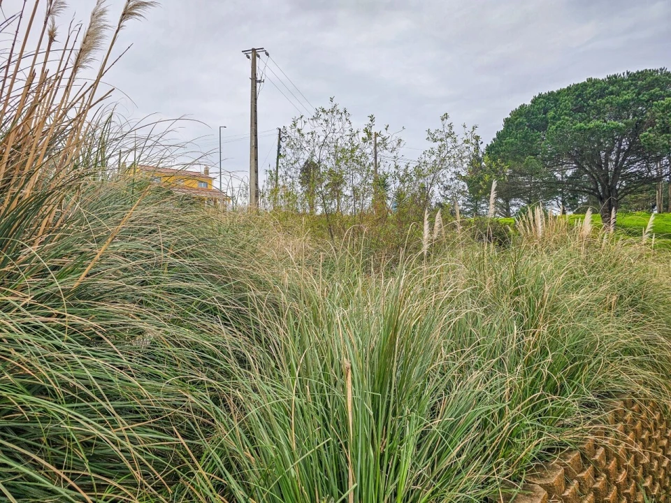 Terreno para Venda em Santo Isidoro Foto 8