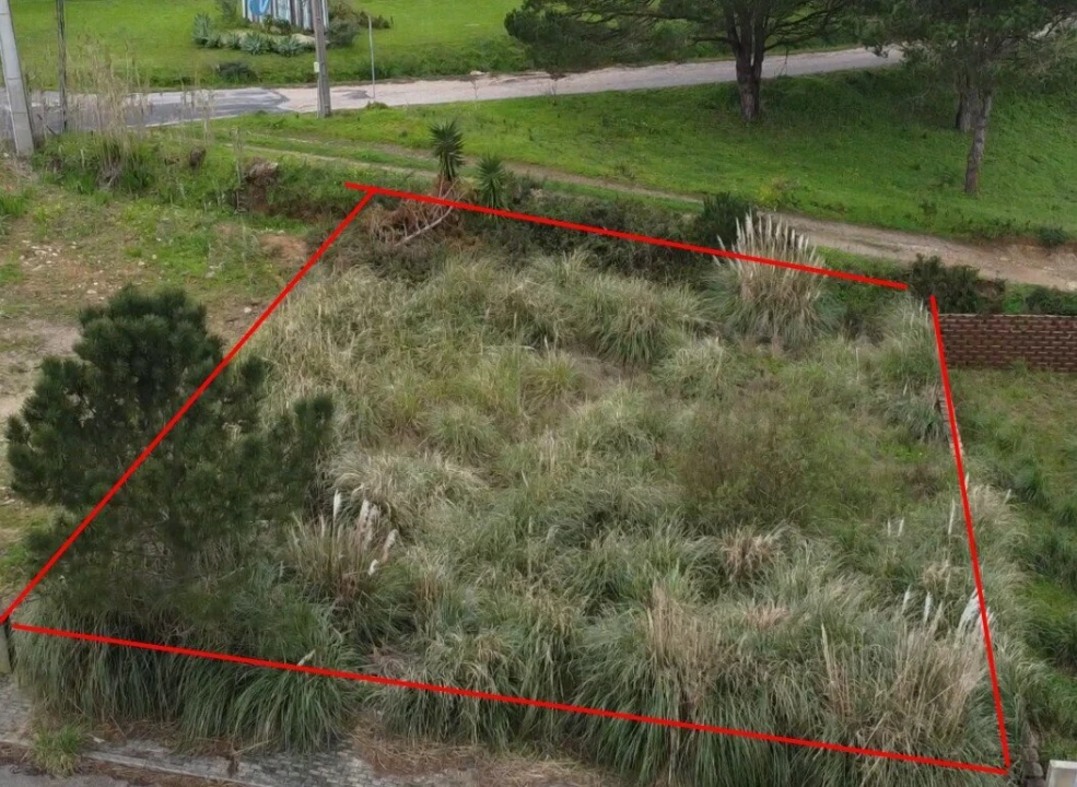 Terreno para Venda em Santo Isidoro Foto 15