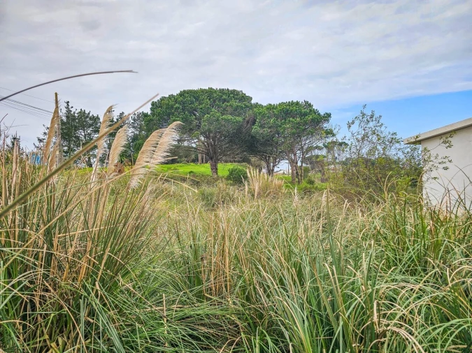 Terreno para Venda em Santo Isidoro Foto 7
