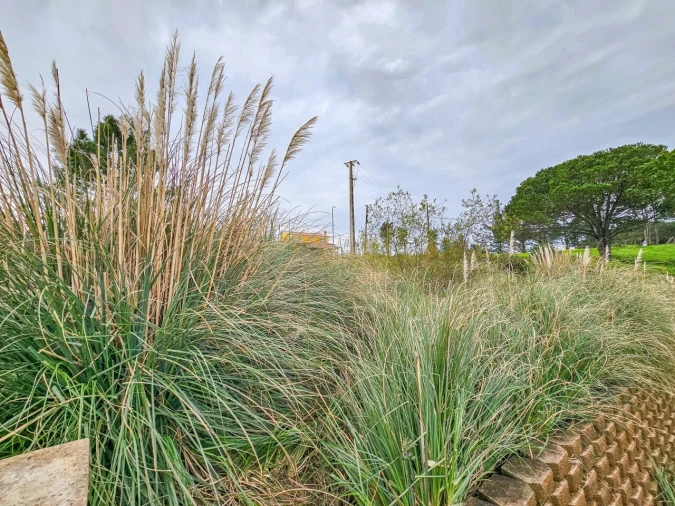 Terreno para Venda em Santo Isidoro Foto 9