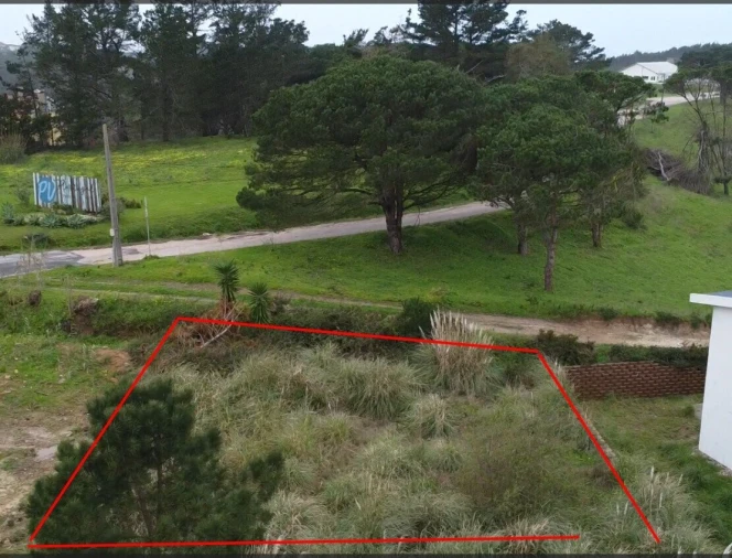 Terreno para Venda em Santo Isidoro Foto 14