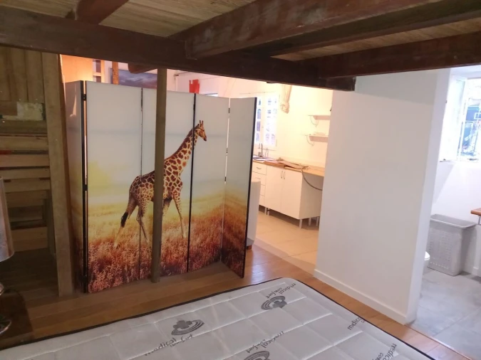 Quinta T6 para Venda em Encarnação Foto 49